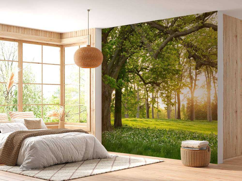 Otwarta przestrzeń w lesie