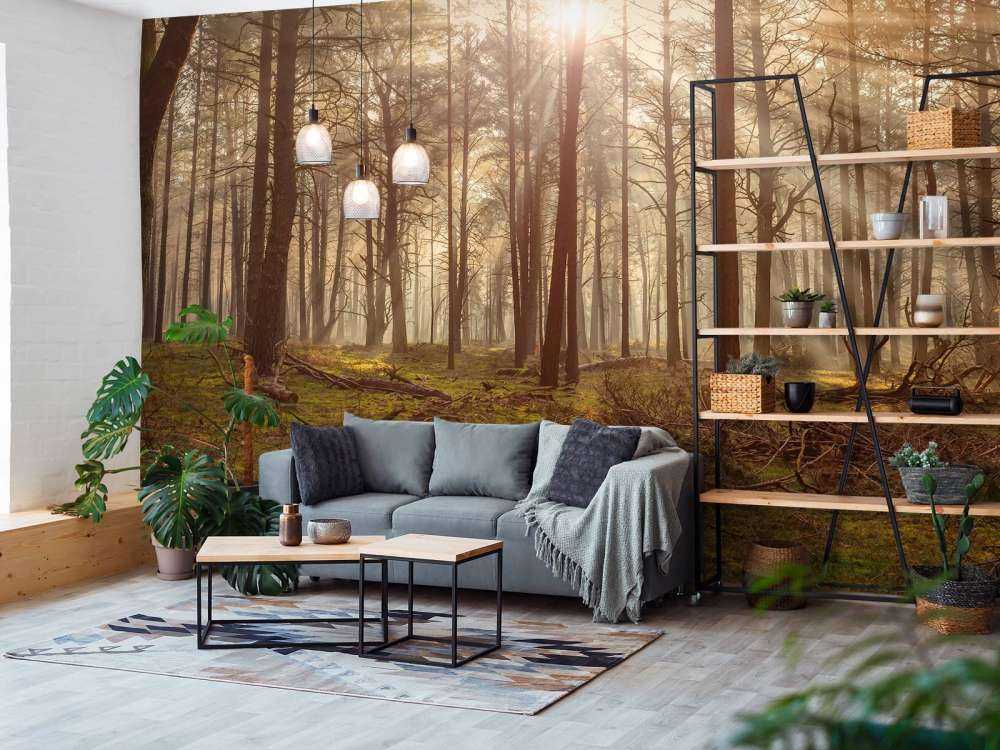 Las z wysokimi drzewami