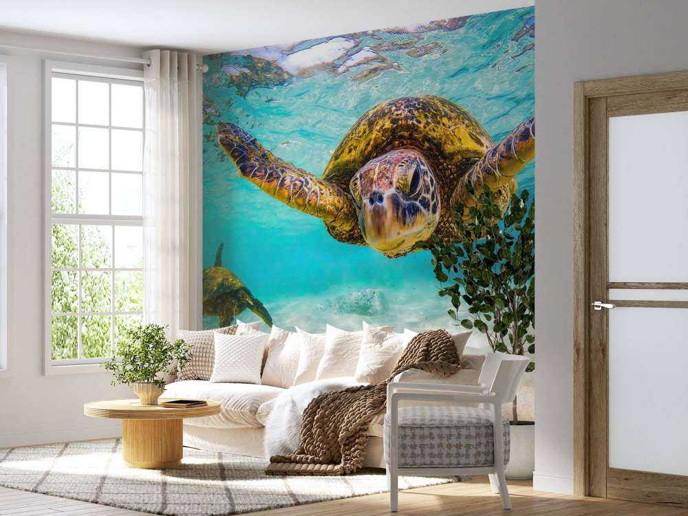 Żółw morski w oceanie