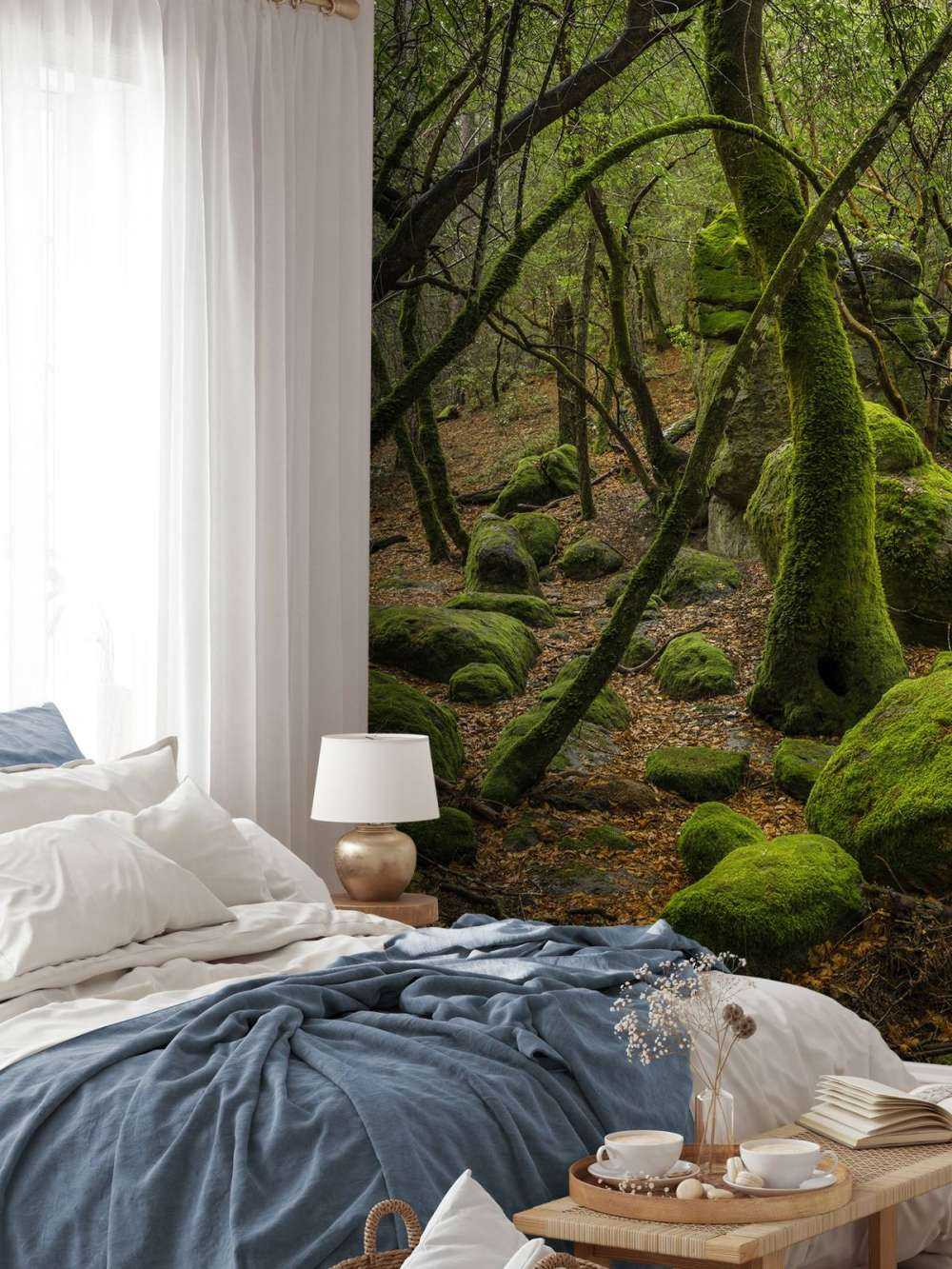 Drzewa i kamienie mchowe