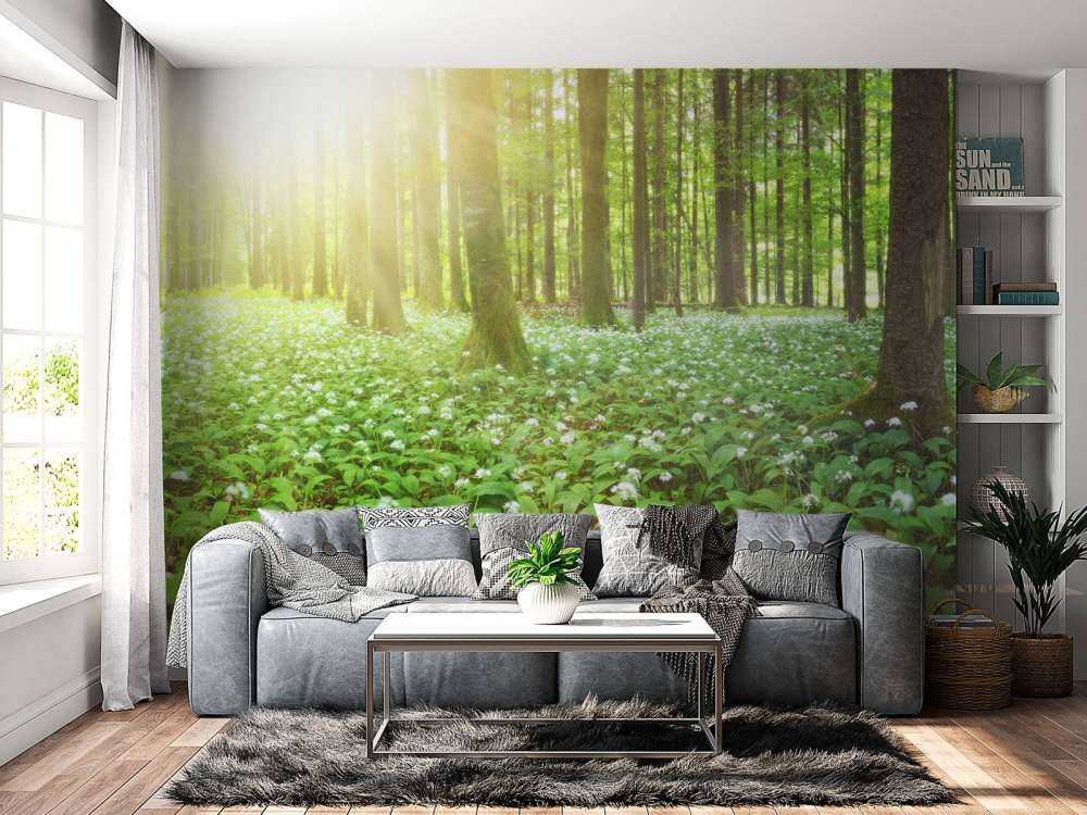 Dziki las o wschodzie słońca