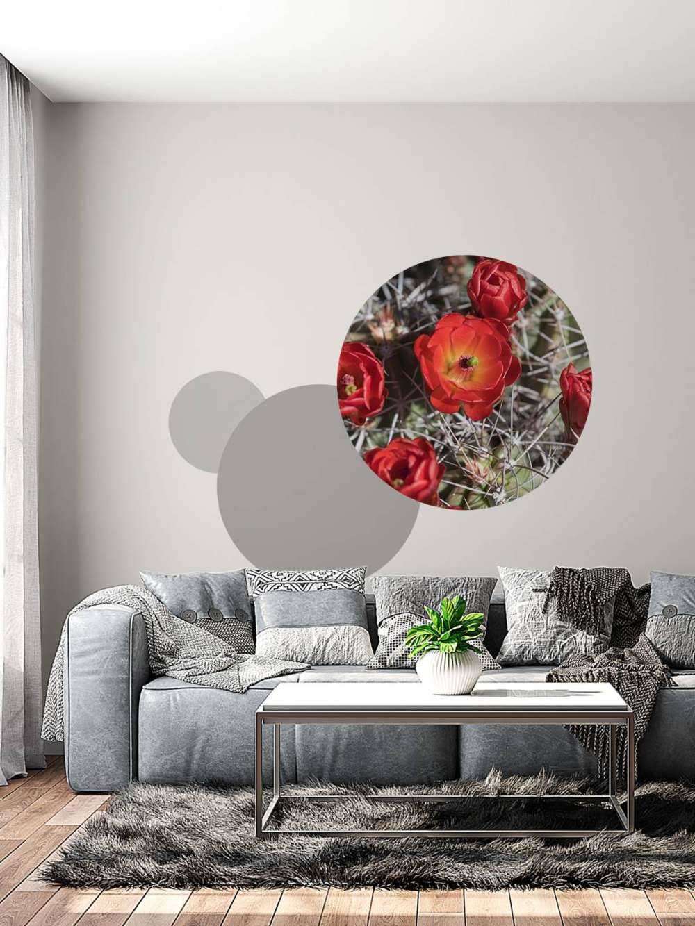 Czerwone kwiaty kaktusa