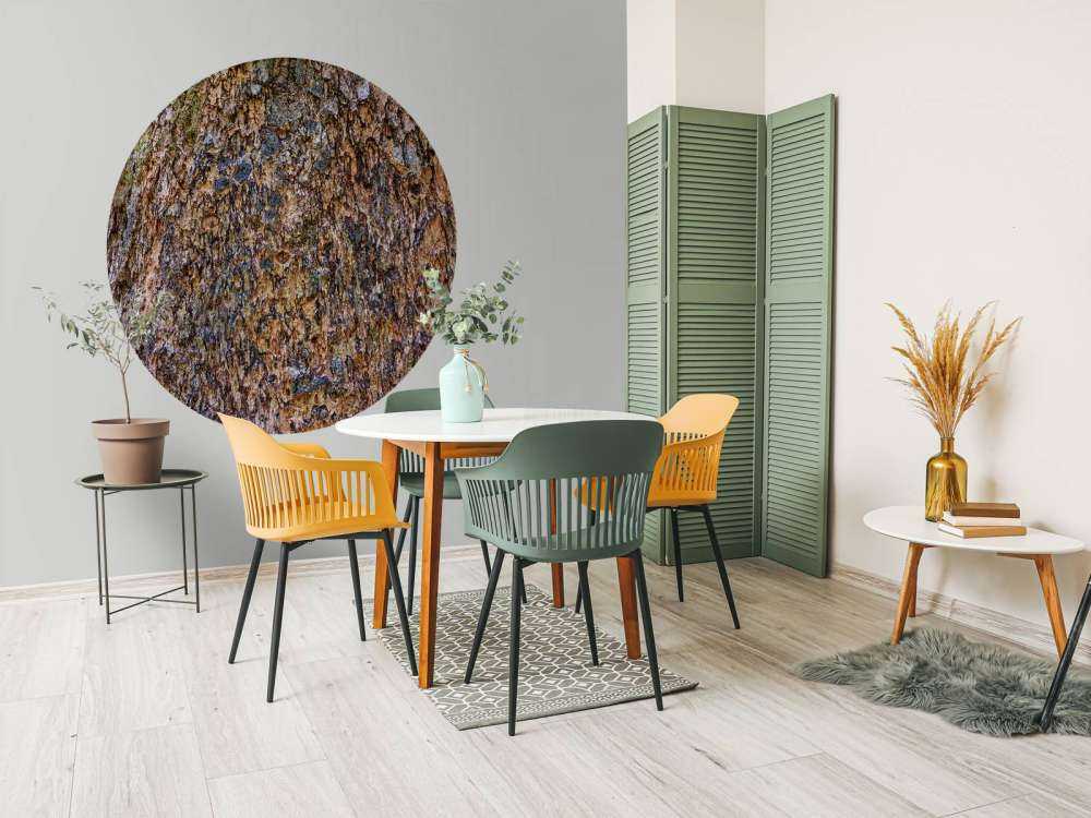 Kora drzewna brązowa