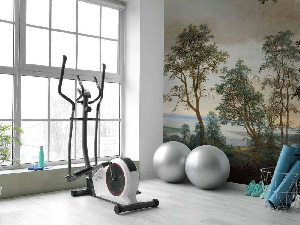 Krajobraz rzeczny widziany przez drzewa