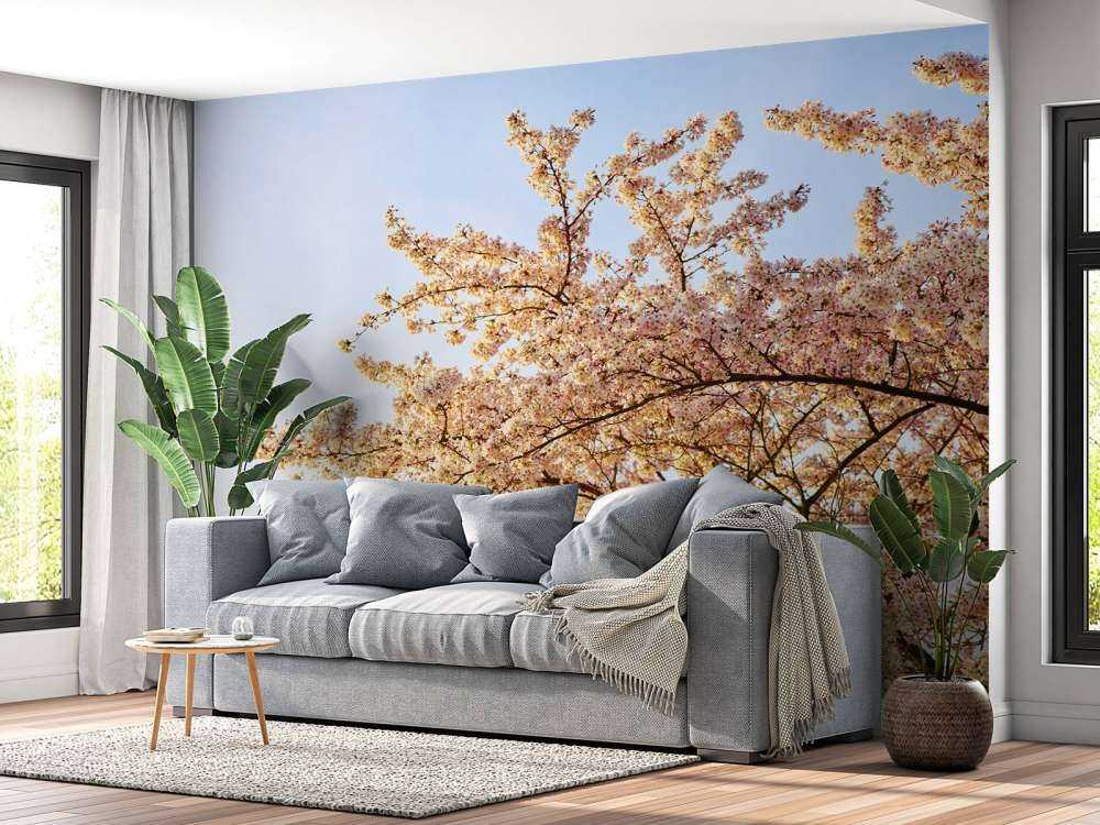 Gałąź kwitnąca w rozkwicie