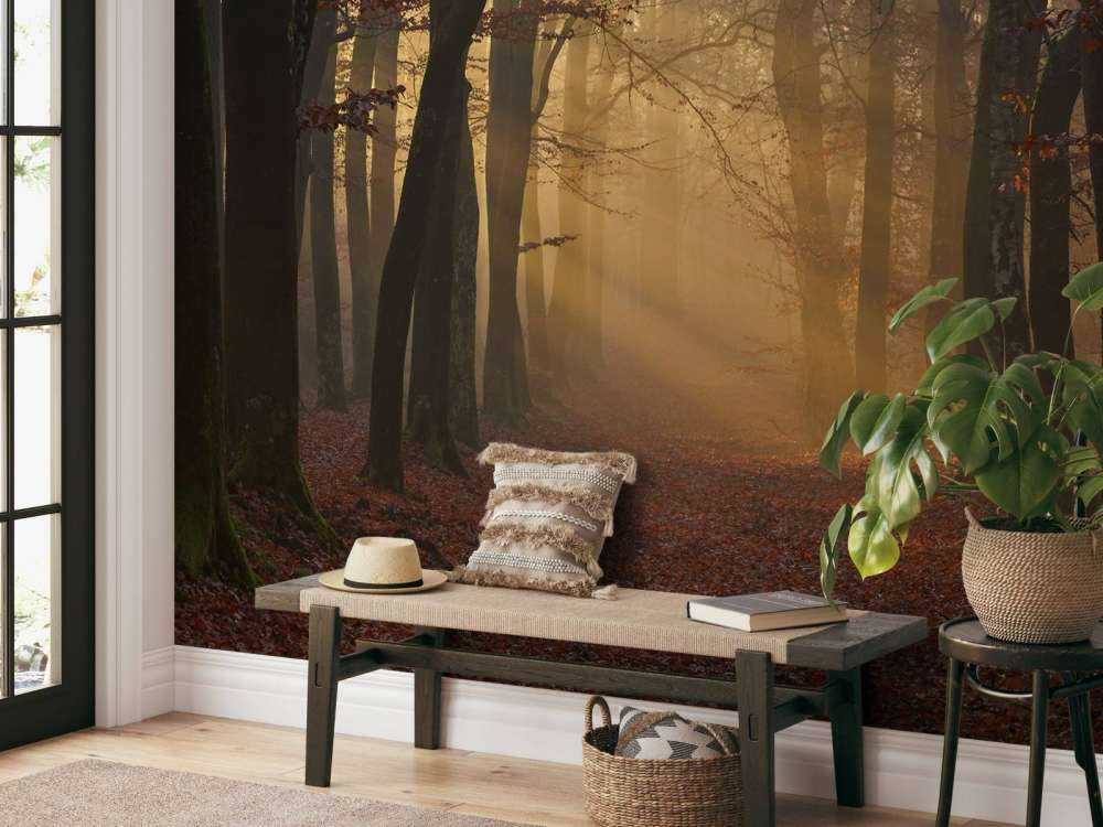 Tajemniczy jesienny las