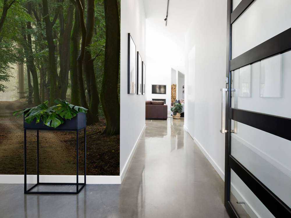 Droga piaskowa w lesie