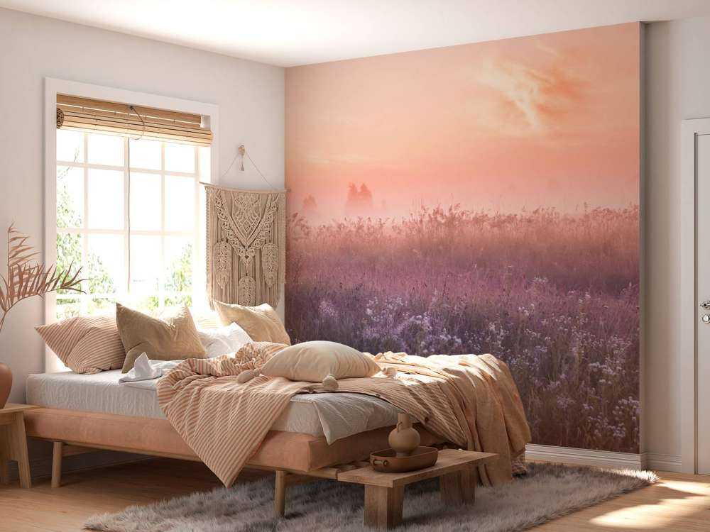 Pole z poranną mgłą