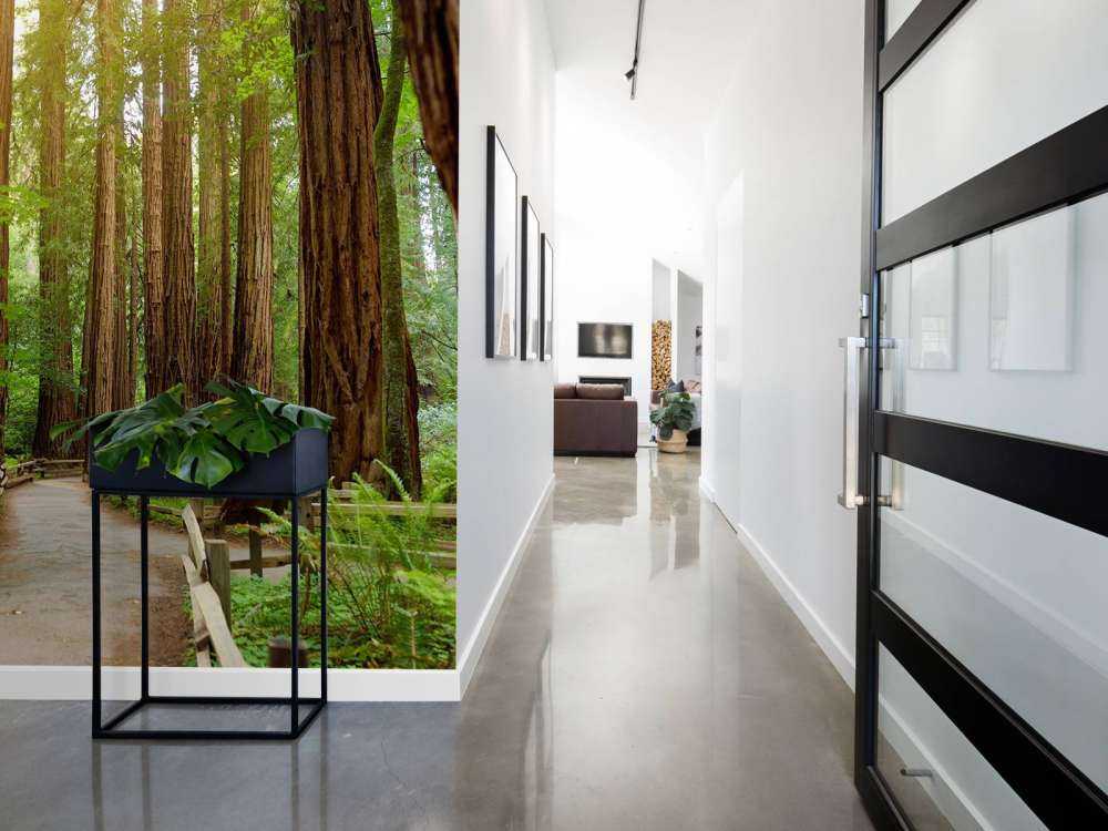 Wysokie drzewa w parku