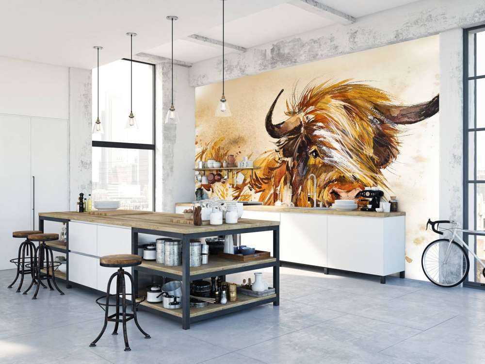 Namalowany szkocki byk