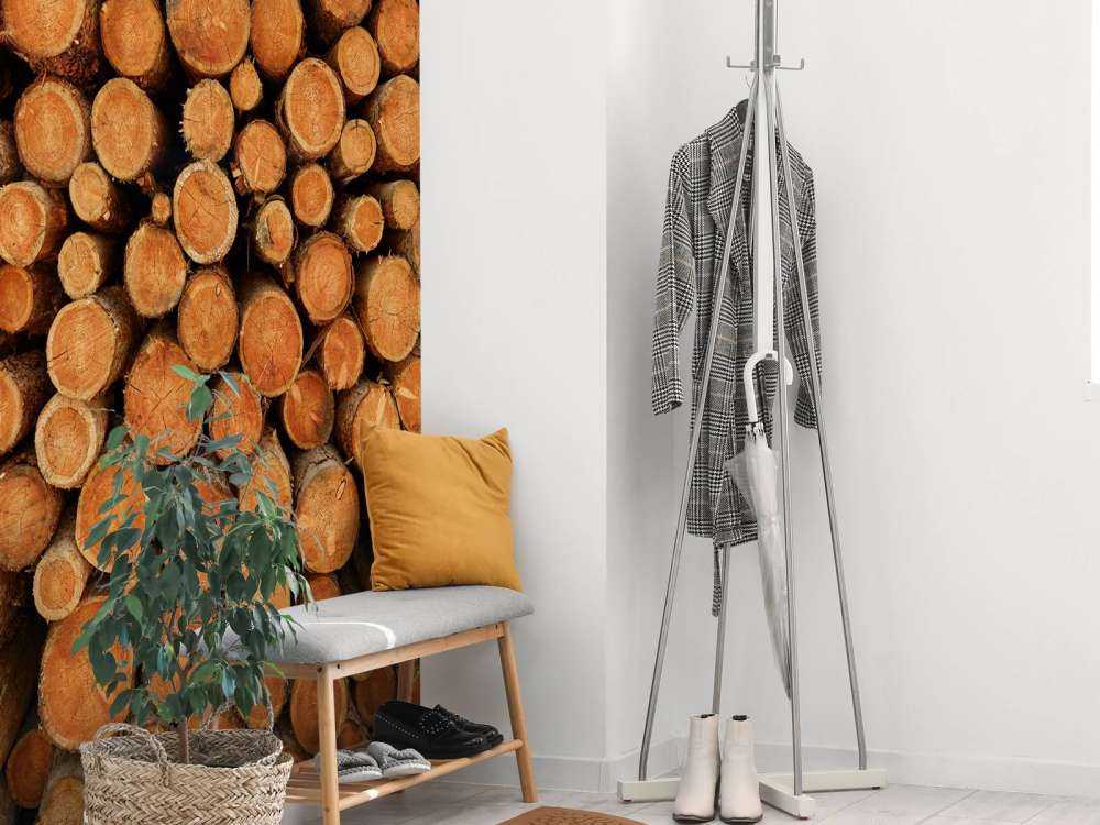 Kupa ciemnych pni drzew