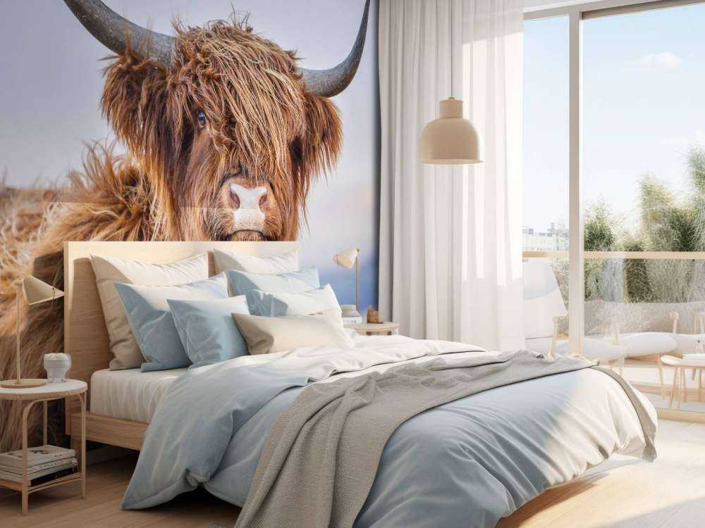 Szkocki wyżyn w roli głównej