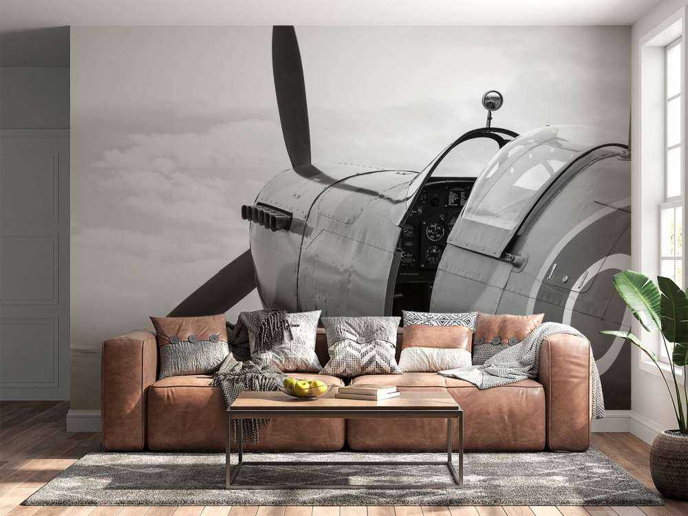 Stary samolot myśliwski