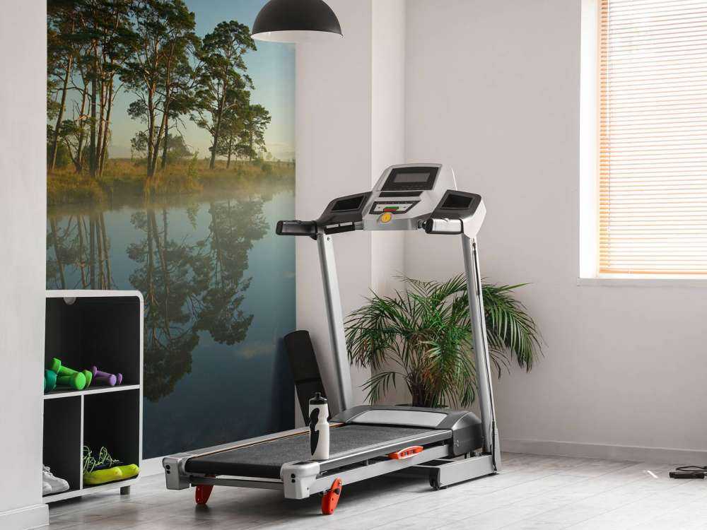 Refleksja na wrzosowiskach