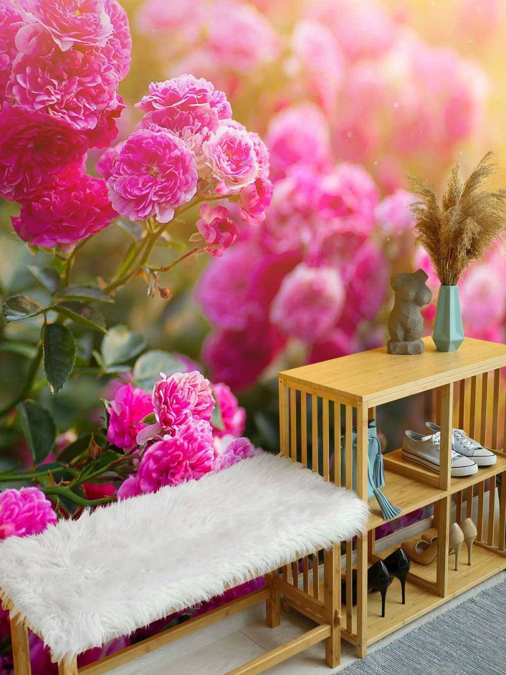 Różowe krzewy róży