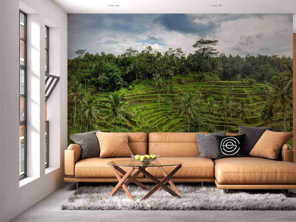 Tajlandzkie pola ryżowe