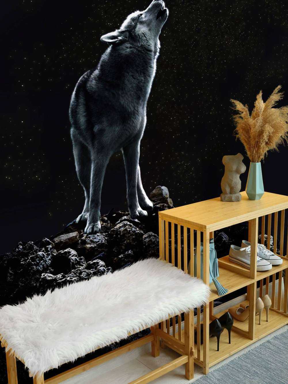 Księżyc wzywa samotnego strażnika