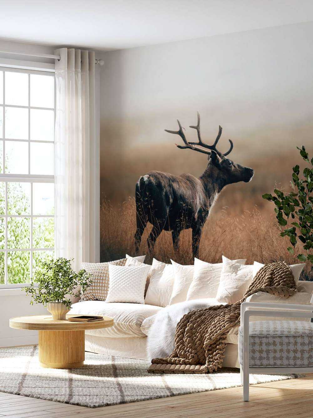 Renifer w wysokiej trawie