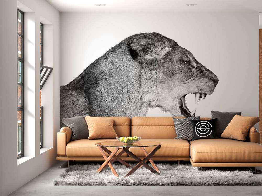 Widok z boku lwicy biały