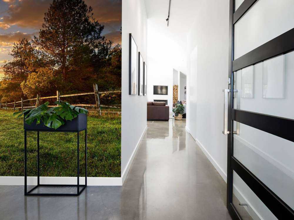 Pastwisko o zachodzie słońca