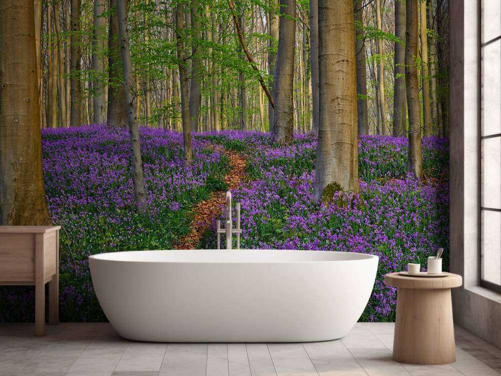 Ładna ścieżka przez las