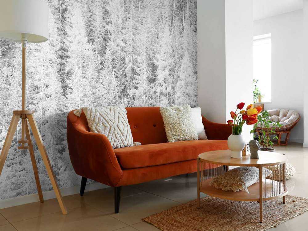 Drzewa iglaste w czerni i bieli