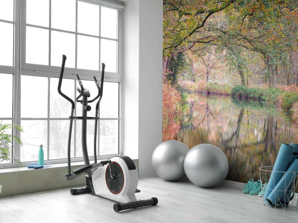 Pokryty kolorowym lasem