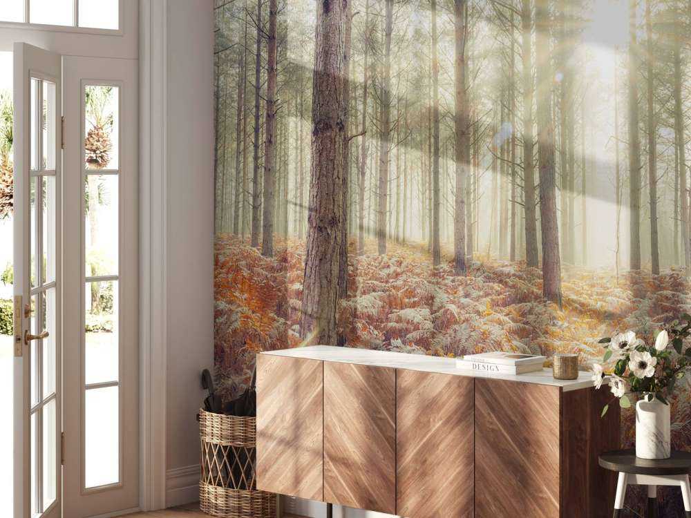 Promienie słońca przez zimne drzewa