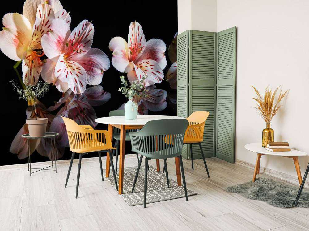 Kwiaty Alstroemerii z odbiciem