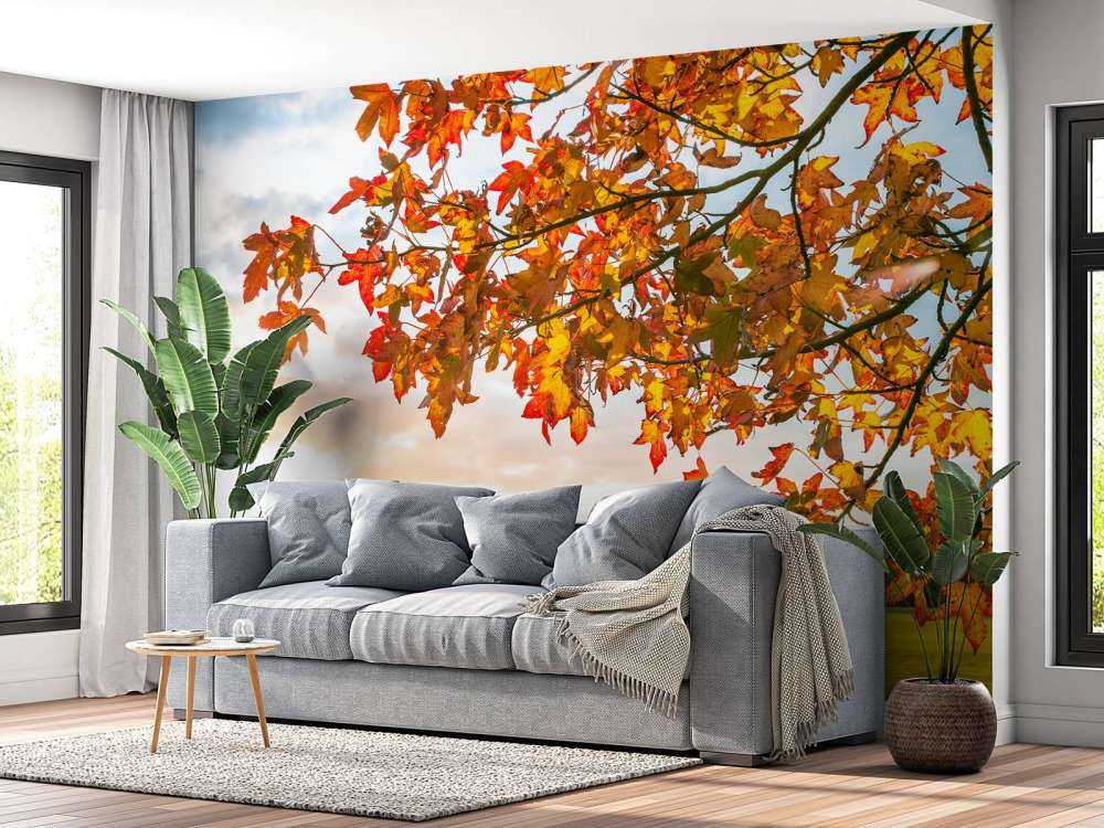 Jesienne drzewo o zachodzie słońca