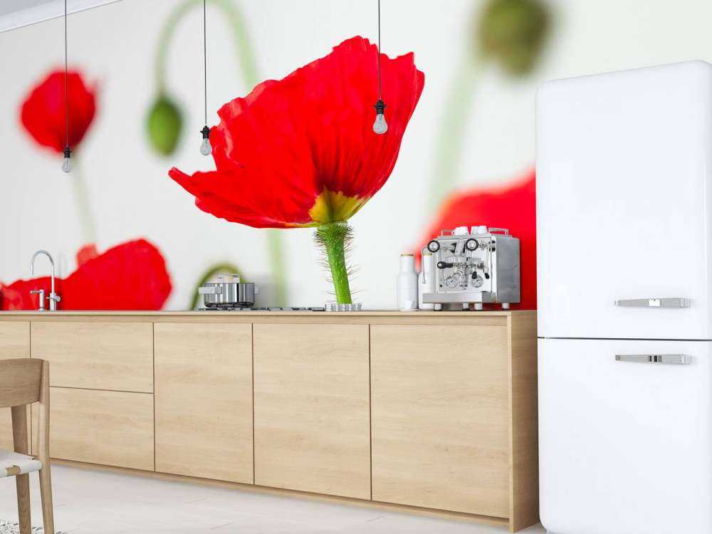 Zbliżenie na czerwone maki