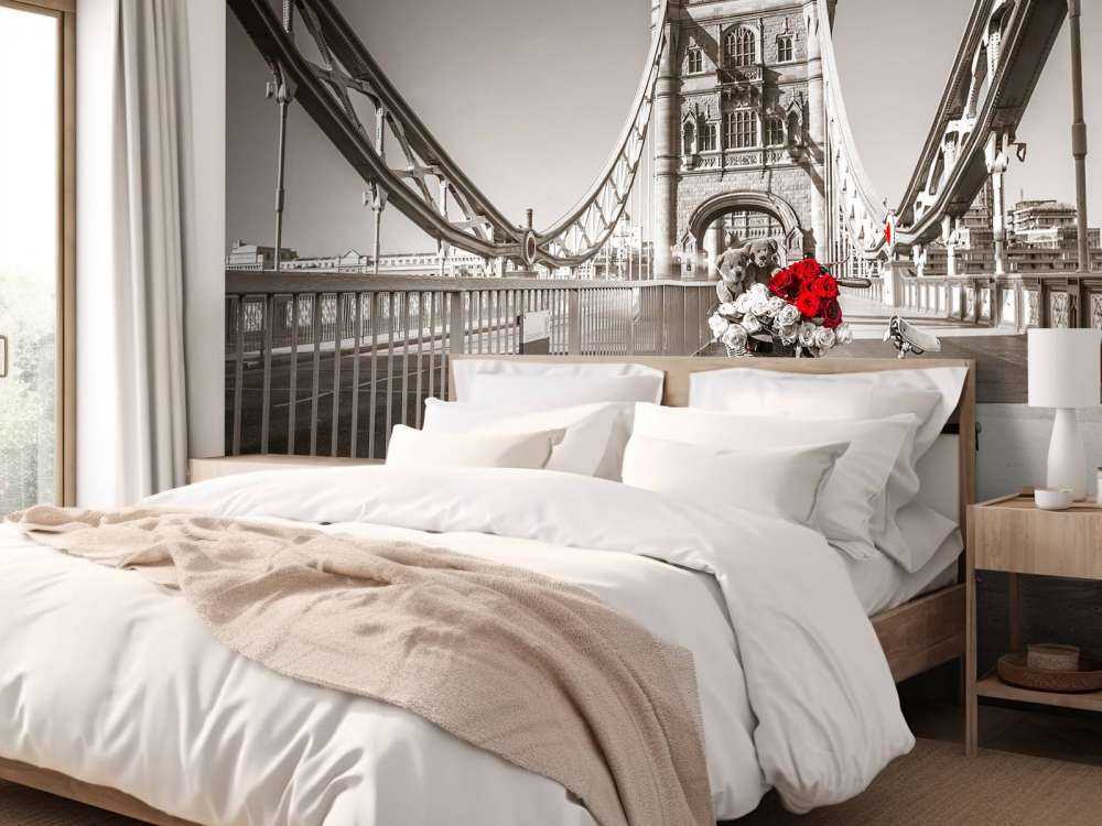 Szczeniaki w koszyku rowerowym