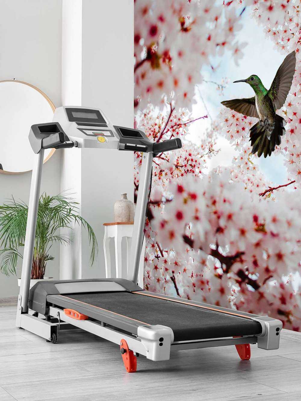 Koliber między kwiatami