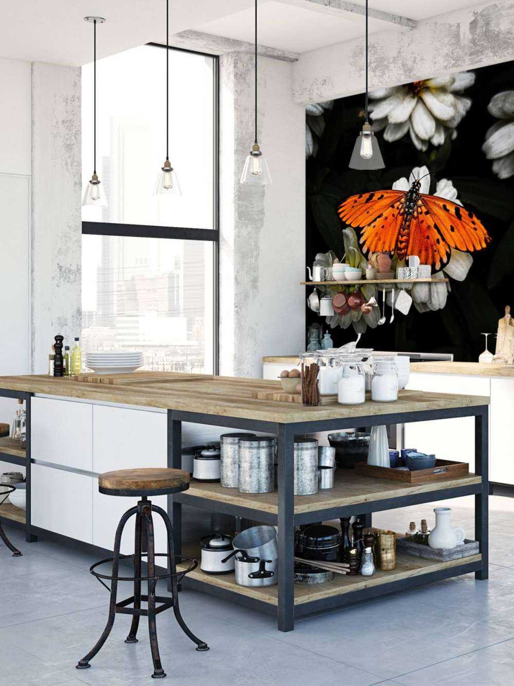 Motyl monarchy na kwiecie