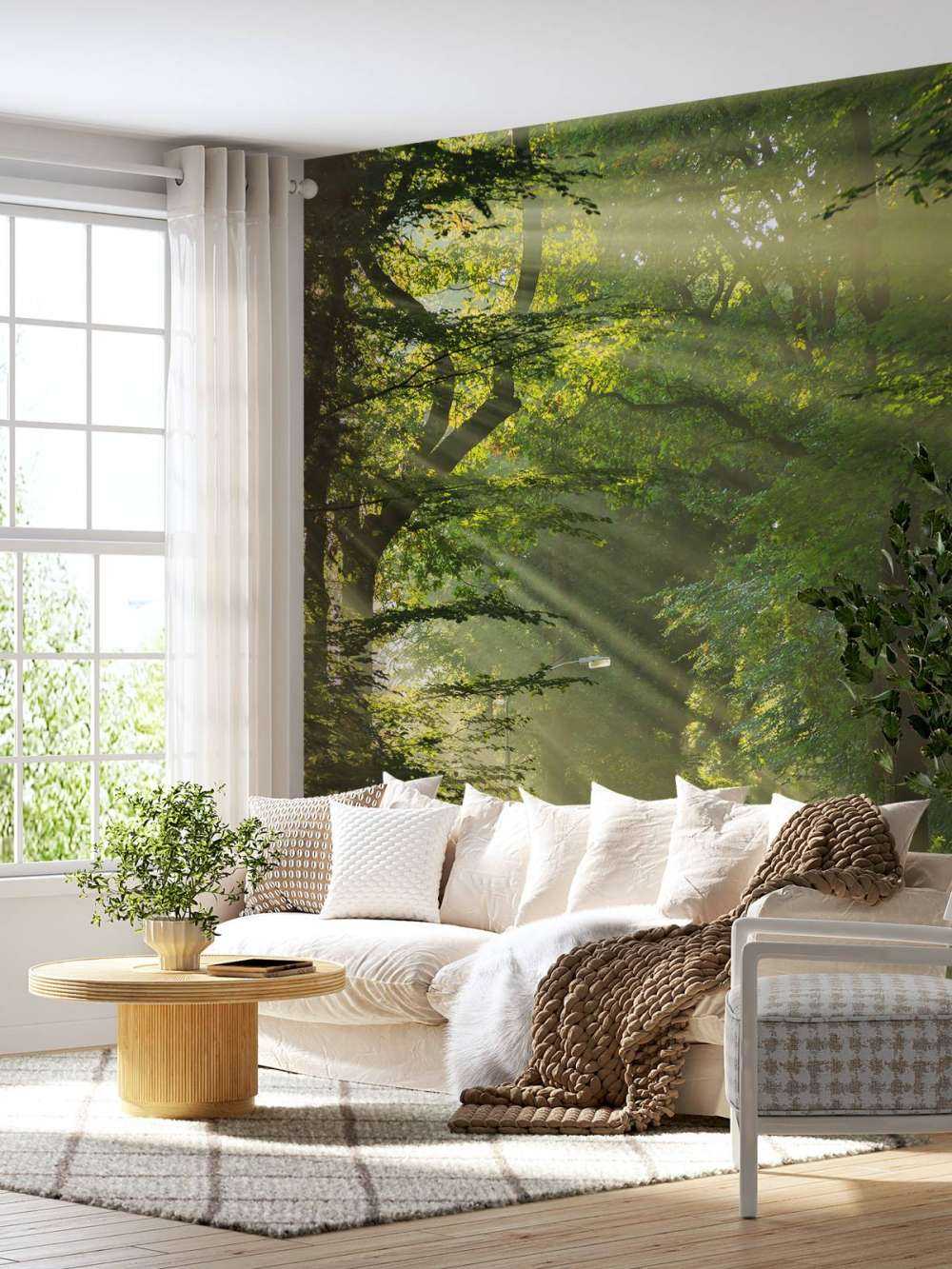 Promienie słońca przez drzewa