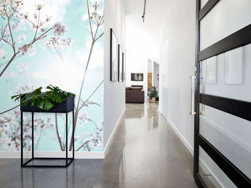 Kwiat migdałowca w słońcu