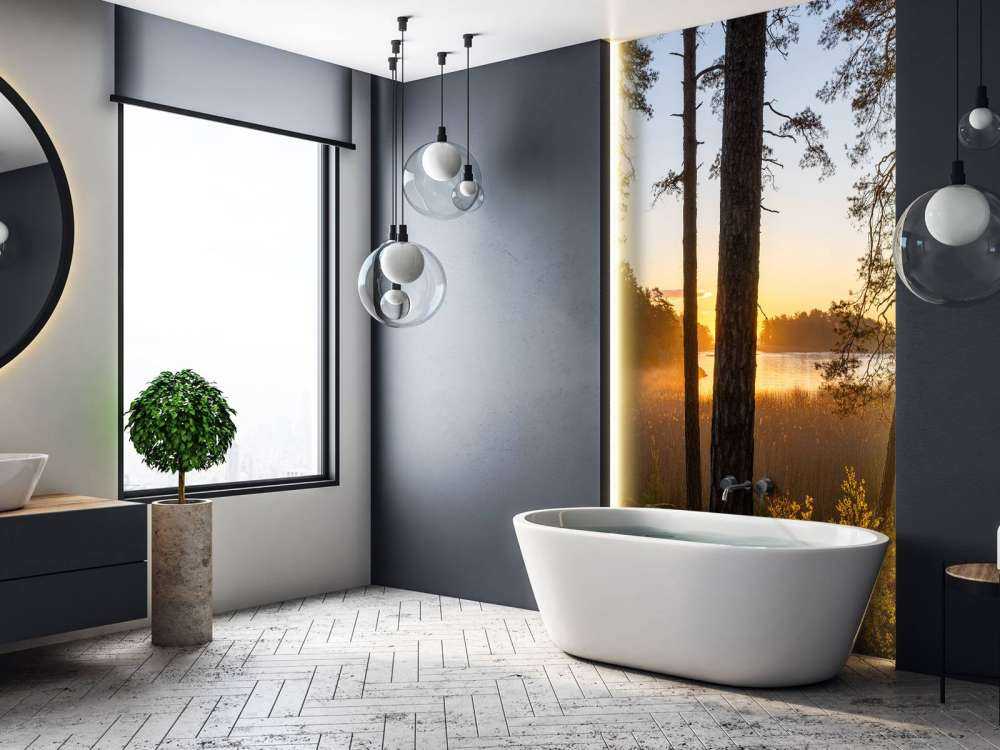 Las o zachodzie słońca