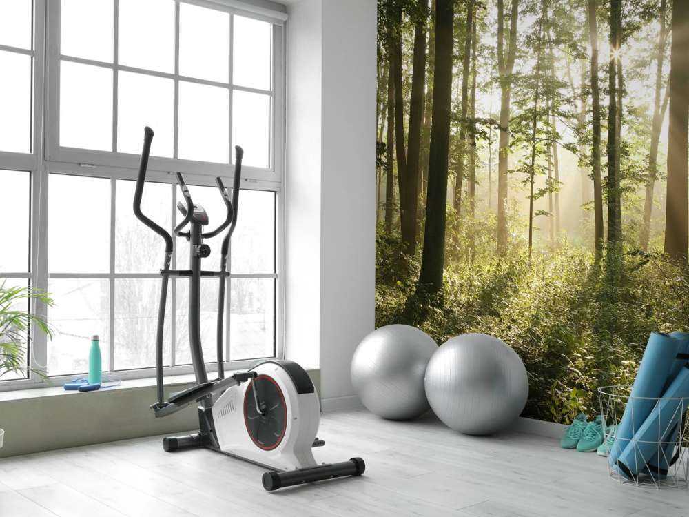 Mglisty las liściasty