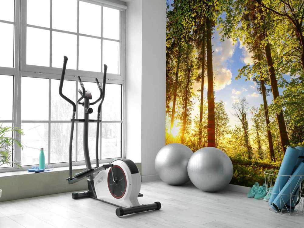 Zachód słońca wśród drzew