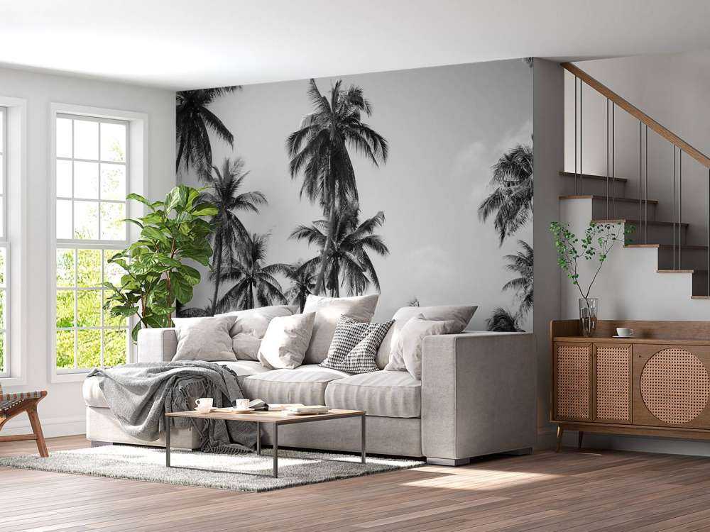 Palmy w czerni i bieli