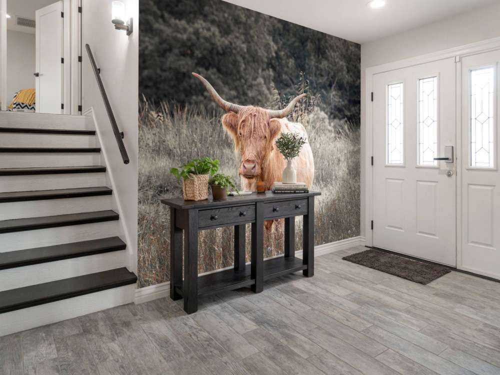 Szkocki wyżyn na polu