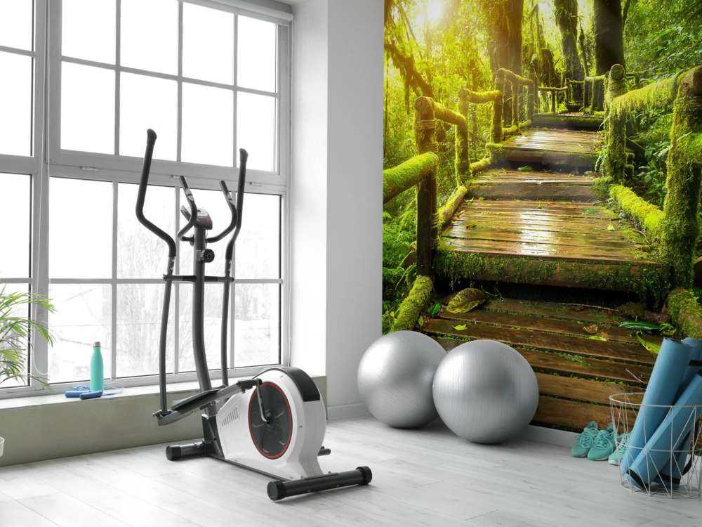 Duże schody do dżungli