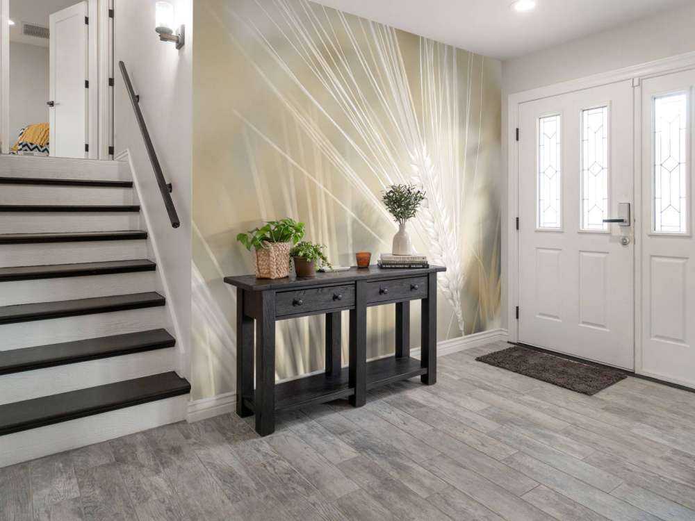 Zbliżenie na pszenicę