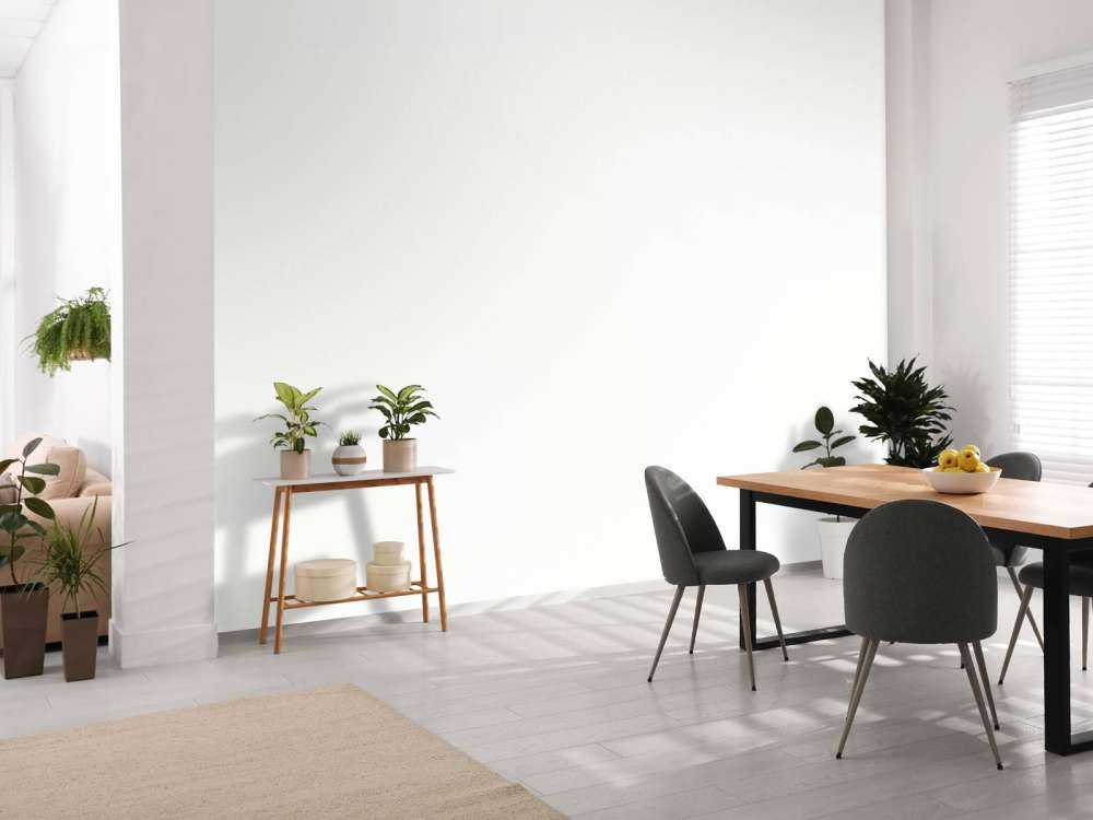 Puder dla niemowląt