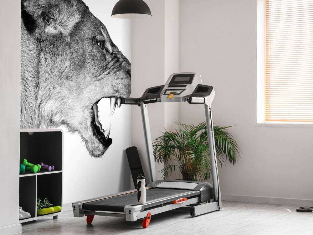 Widok z boku lwicy biały