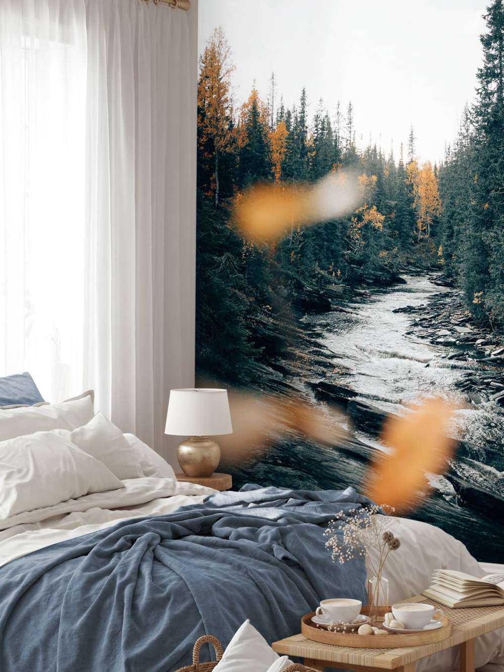 Zaczarowany jesienny las