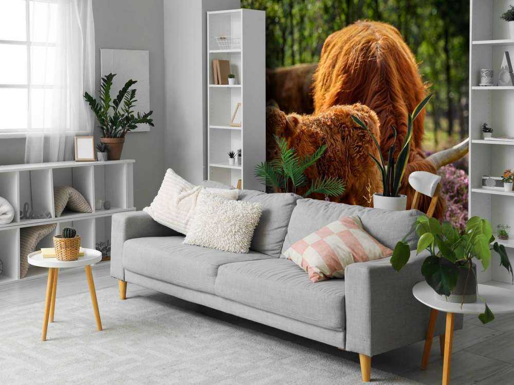 Rodzina szkockich wyżynnów