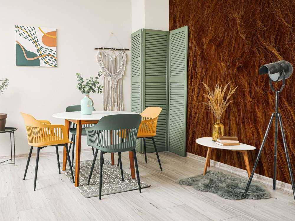 Sierść szkockiego wyżynna