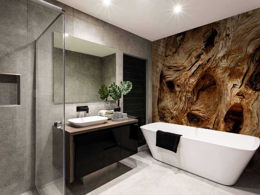 Zbliżenie na stare drzewo