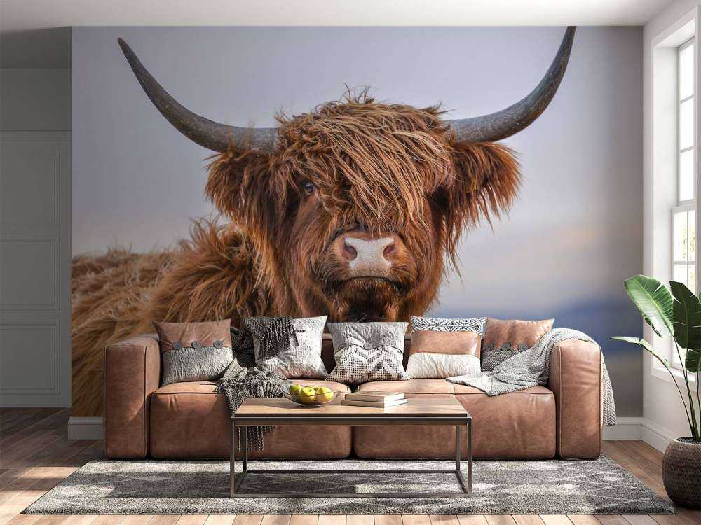 Szkocki wyżyn w roli głównej